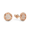 Rose Gold Earrings